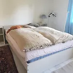 Trandafir Guest house