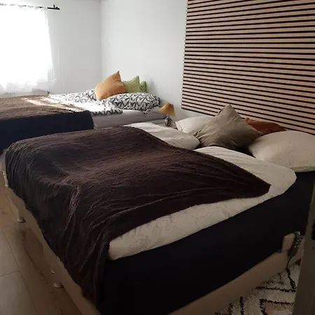 Trandafir 엑트베드