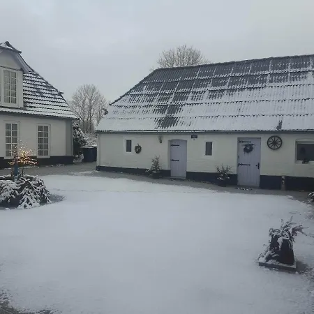 Trandafir 3* Egtved