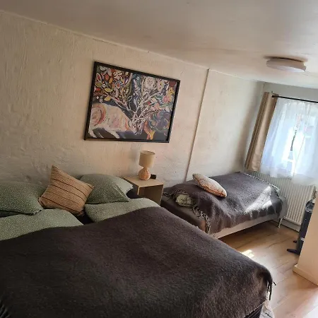 Trandafir Guest house