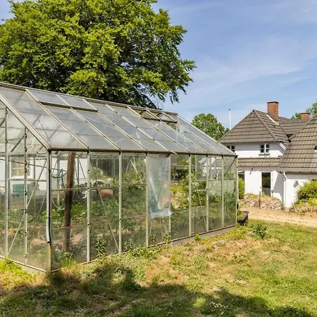 Trandafir Maison d'hôtes