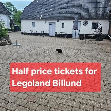 Trandafir Penzion Egtved