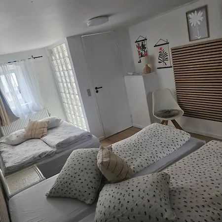 Maison d'hôtes Trandafir